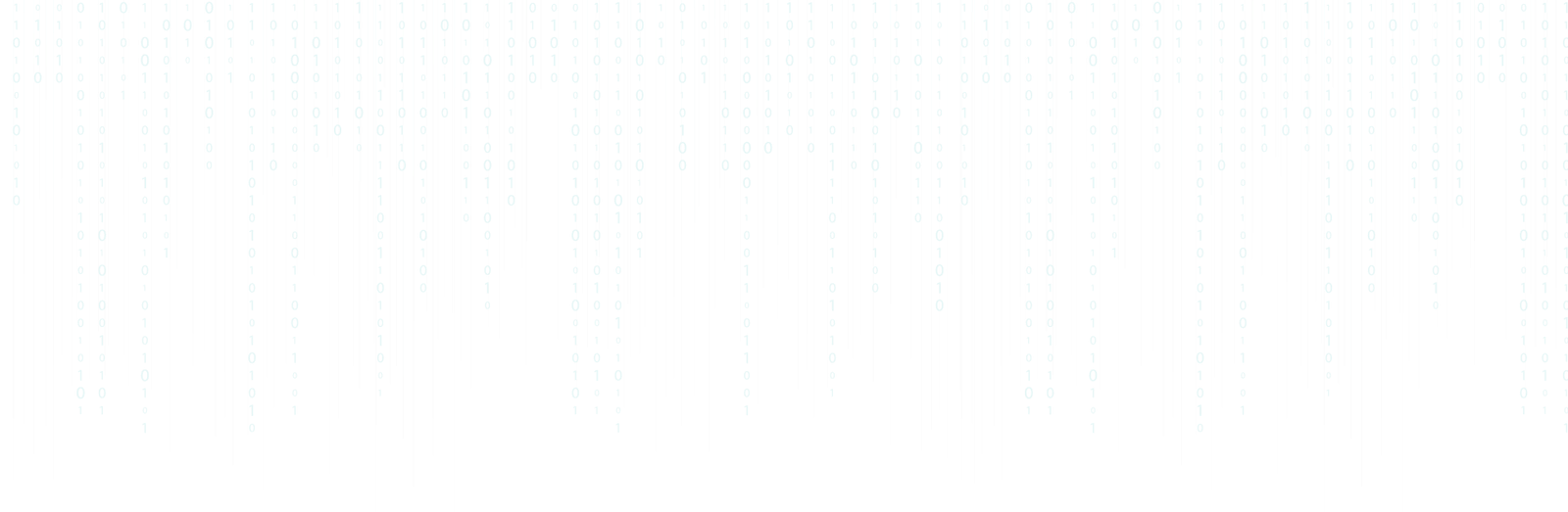 Senior {Full Stack}Web Developer